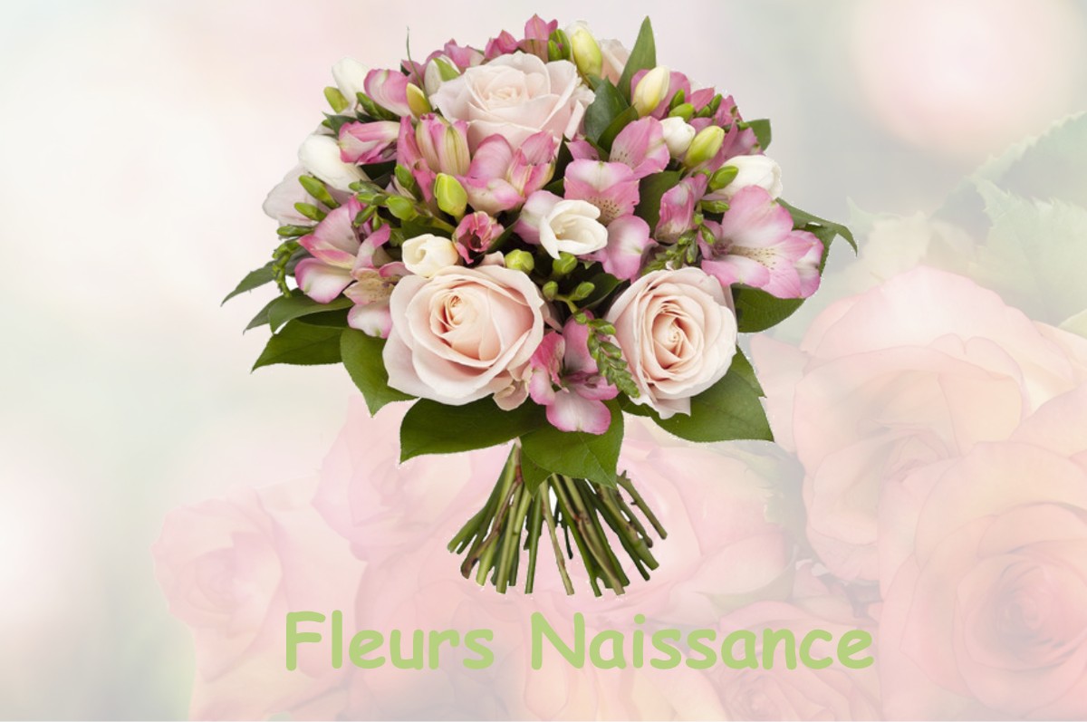fleurs naissance LE-BOUCHON-SUR-SAULX