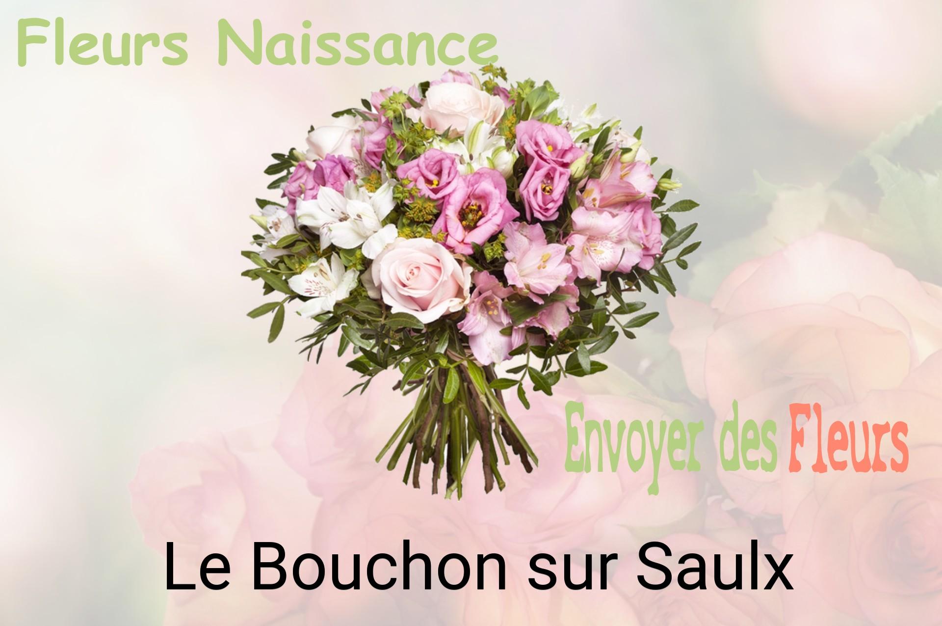 Bouquet de fleurs de naissance livré à Le Bouchon-sur-Saulx