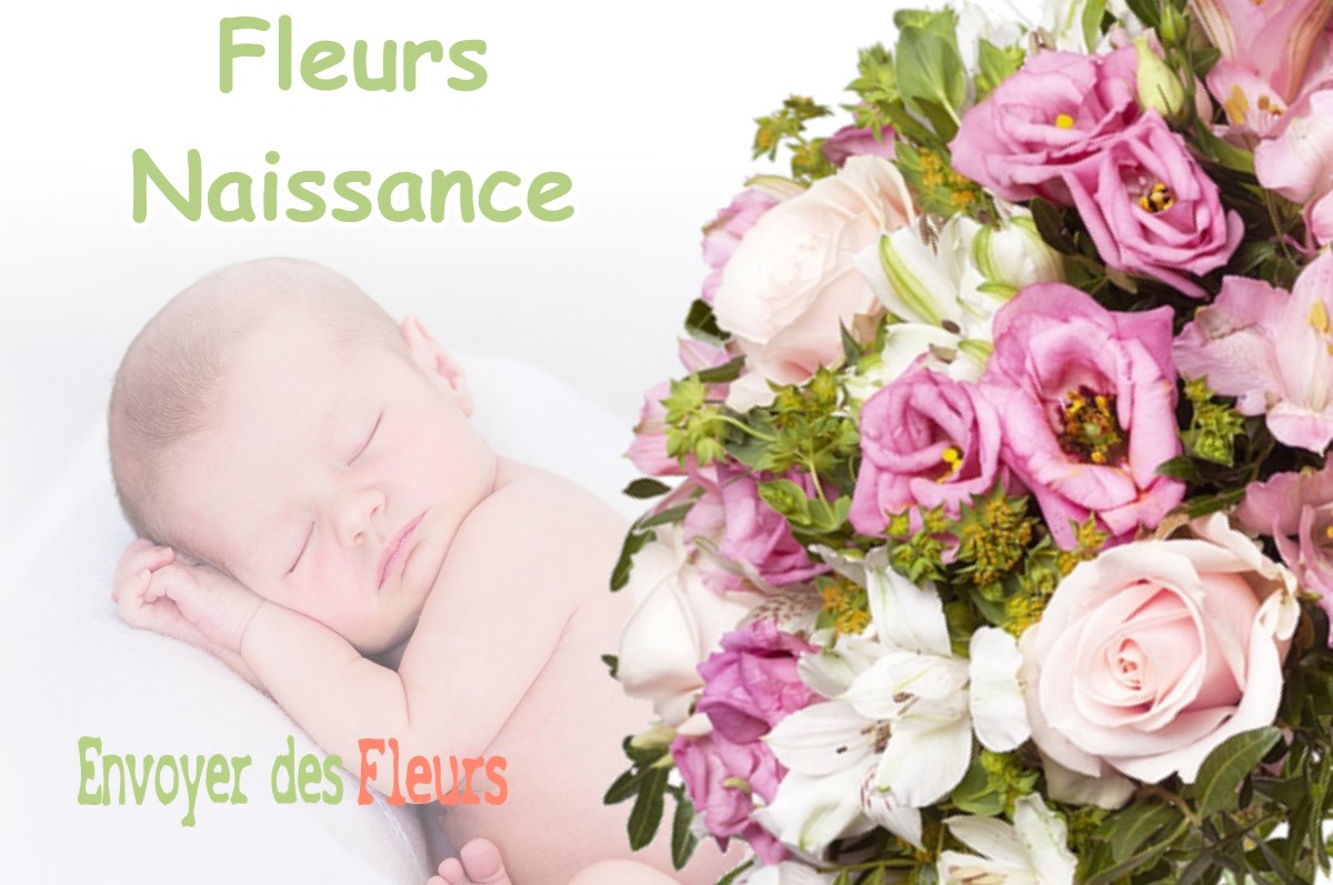 lIVRAISON FLEURS NAISSANCE à LE-BOUCHON-SUR-SAULX